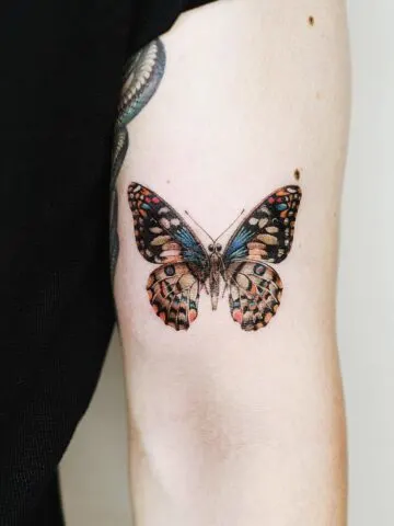 Butterfly Tattoo Designs